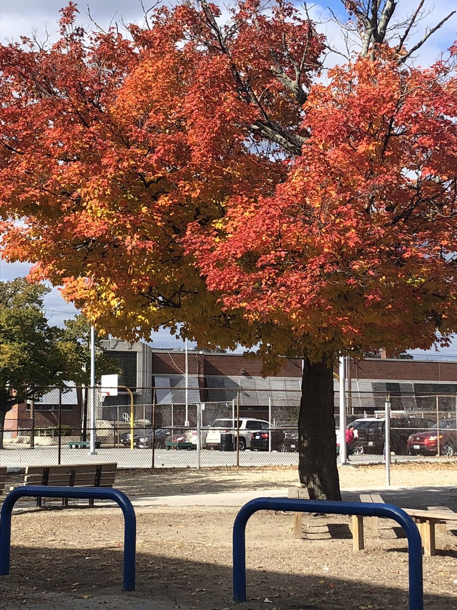 Year after year the colors still “wow” @ElementaryLima <a href="/pvdschools/">Providence Public Schools</a>