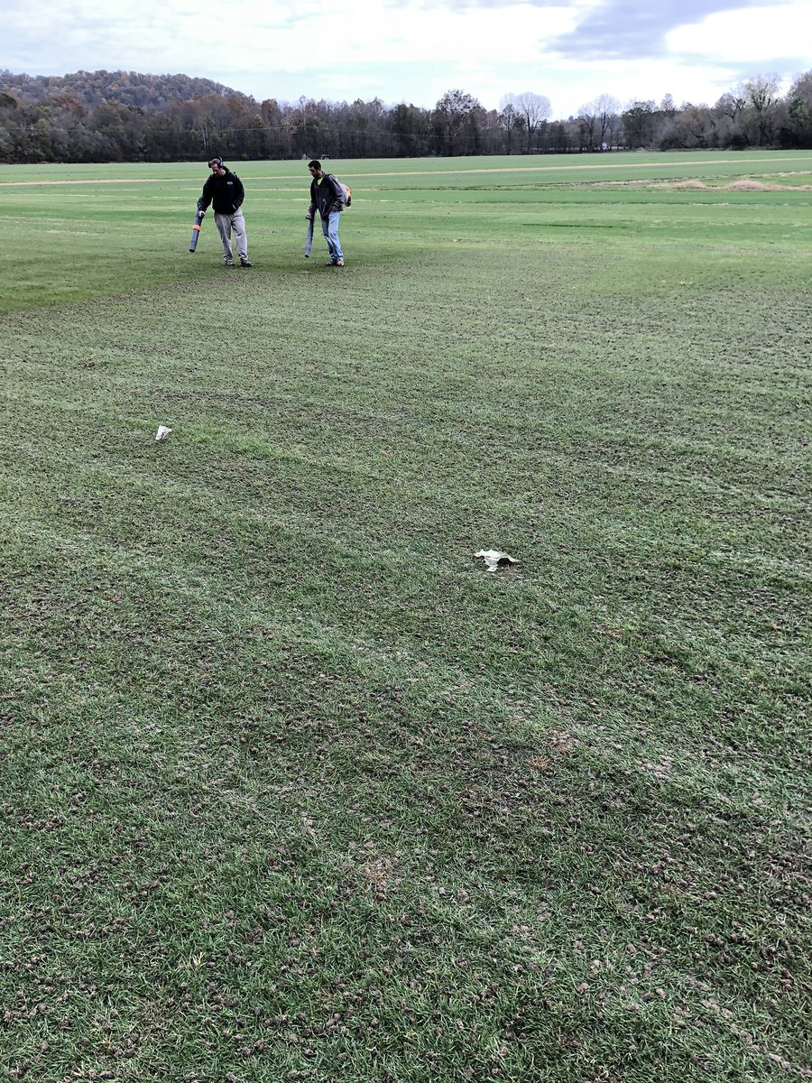 TurfSpartanLord's tweet photo. Final ryegrass renovation taking place on our stabilized nursery today in Brookville, IN. 2X Verticut and Aeration on 2” spacing pulling cores. All debris blown off, seeded @6#/m, and fertilized with @NatureSafe 12-2-6 @ .5#N/m #FallRenovation #PutToBed #2019season https://t.co/vuLJ6rTtMv