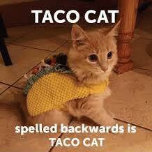 cointossbrewing's tweet photo. #TacoTuesday featuring the #PerkyPantry is today 4-7 p.m. We will also be tapping a single keg of Fire In The Hohl Habanero Strong Ale! #OregonCity #MadeInOC #StreetTacos #SupportYourLocalBrewery #OnTapOC #TacoCat https://t.co/x9kIARnQyK