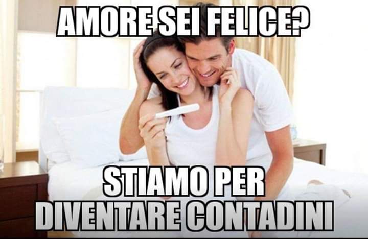 @isentinellidimilano tweet media