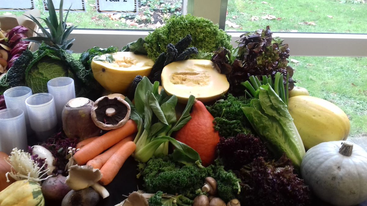 Notre Dame School tweet media