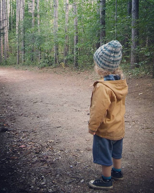 Lisa Murphy tweet media