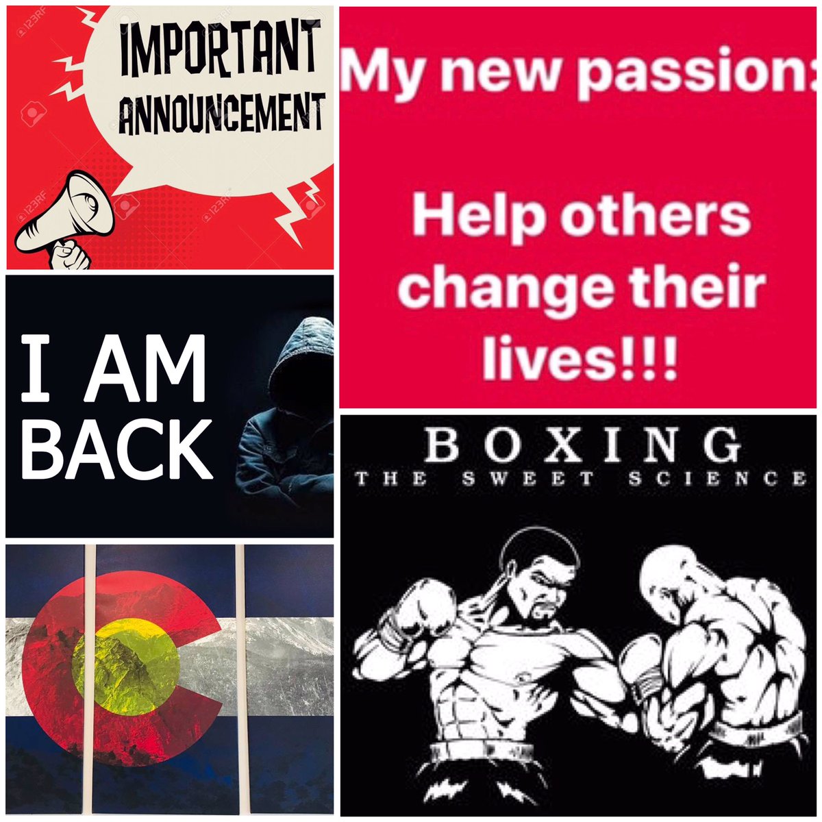 shane swartz tweet media