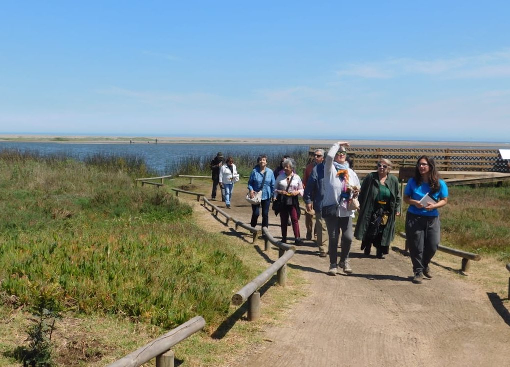 OrgEcomar's tweet image. Hoy finalizamos el primer ciclo de talleres "Redescubriendo el Borde Costero" 🦑 Visitamos el Parque Ecológico La Isla de Concón, donde pudimos observar mucha diversidad de flora y fauna🍃🦅🦋

Actividad financiada por los fondos de #IniciativasEstudiantiles2018 @geropolisuv💙