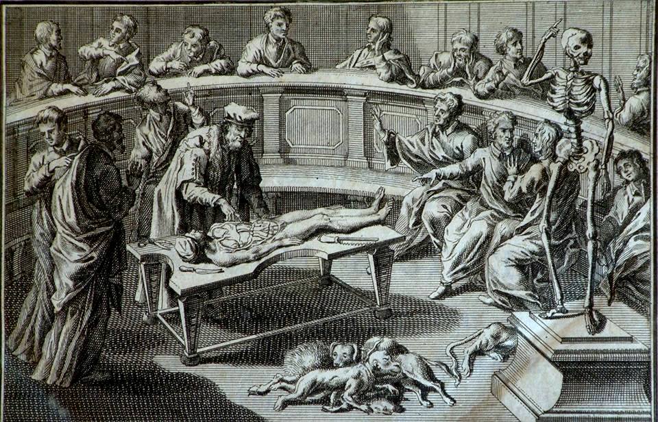 StoriaMedicina's tweet image. Bartolomeo #Eustachio (1500 or 1514 – 1574) was one of the founders of the #science of human #anatomy.
#histmed