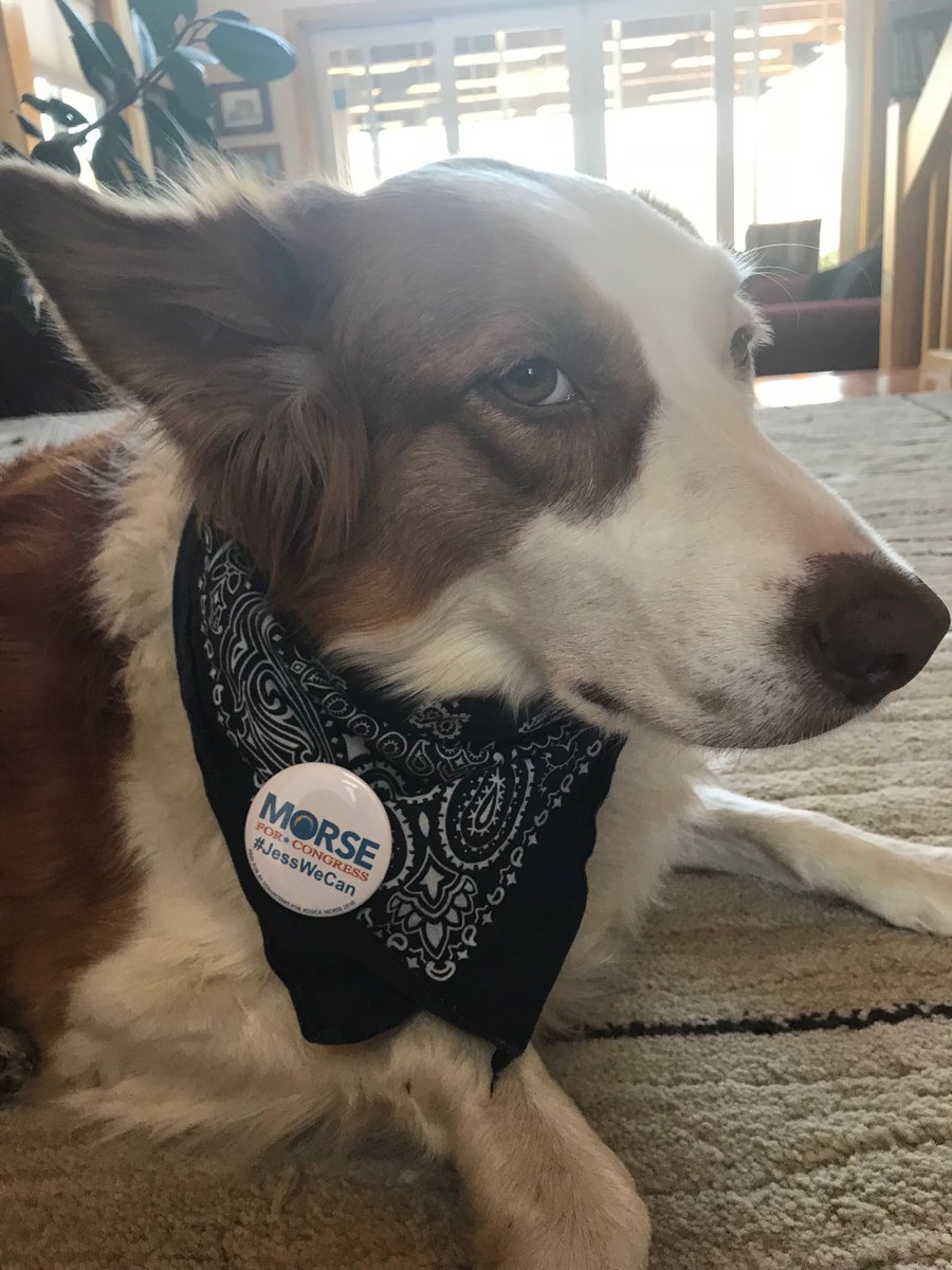 Vote for @Morse4America!