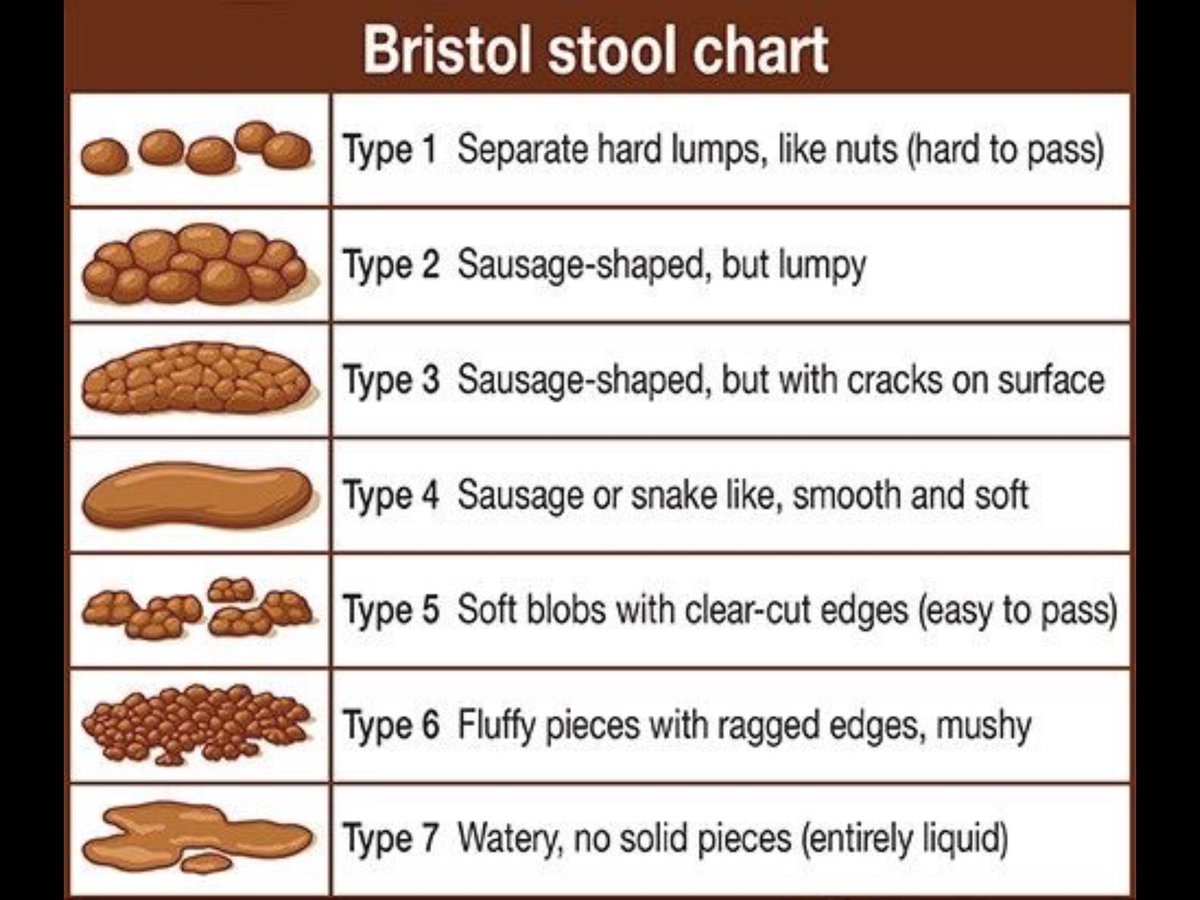 Bristol Stool Chart Type 6