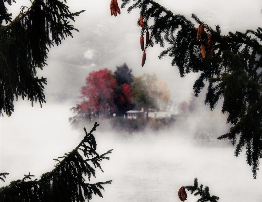 Yanick_8's tweet photo. The land of mist
#P900 #landscape #mist https://t.co/eH2AcLvYXq