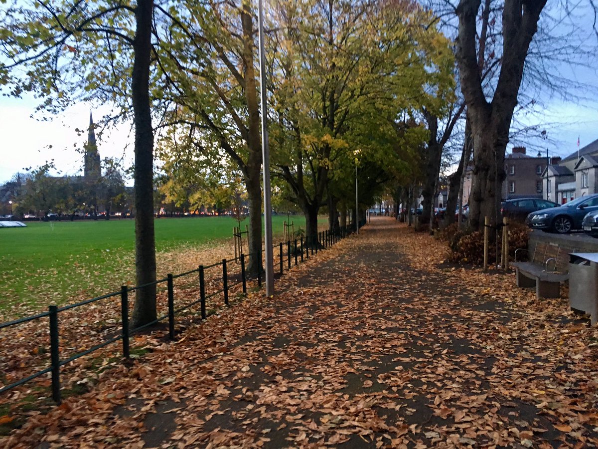 A blanket of leaves cover The Mall in Armagh. Autumn in its element🍁🍂