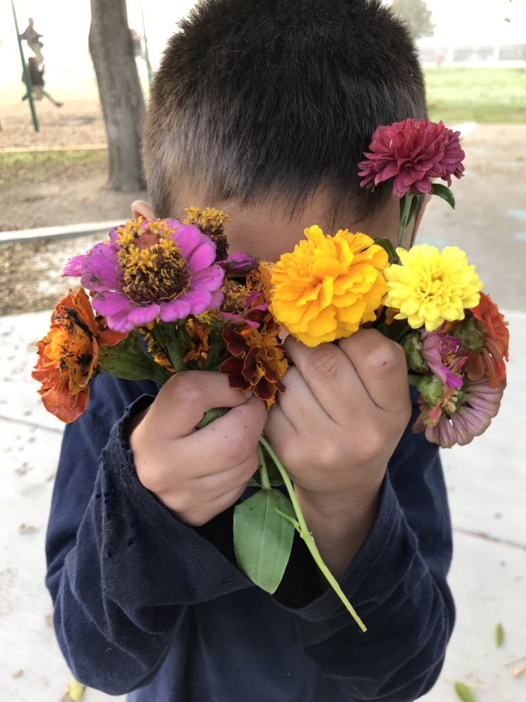 KatieMKitchens's tweet photo. Flower arranging, anyone?  @WinnWildcats #montessori https://t.co/SO6i94ikG2