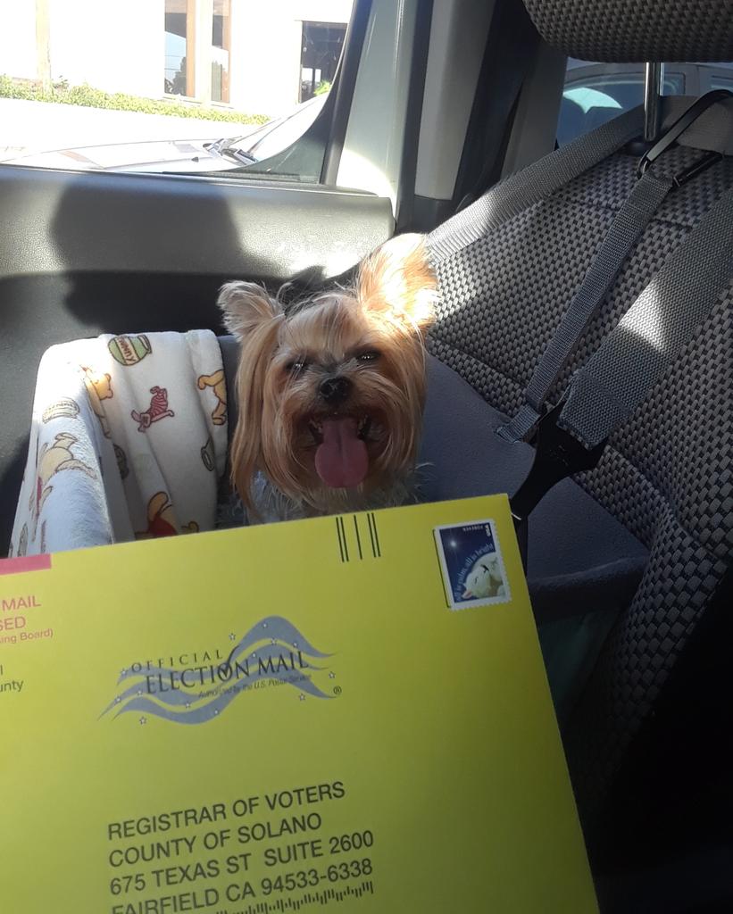 EmilyroseRob's tweet image. If you still have your Voting Ballot make sure you get it filled out &amp;amp; mailed in !!!! 

Next month just hold onto to it, &amp;amp; take it to your local Polling Place to make sure your Vote it counted ! 

#vote #mailitin