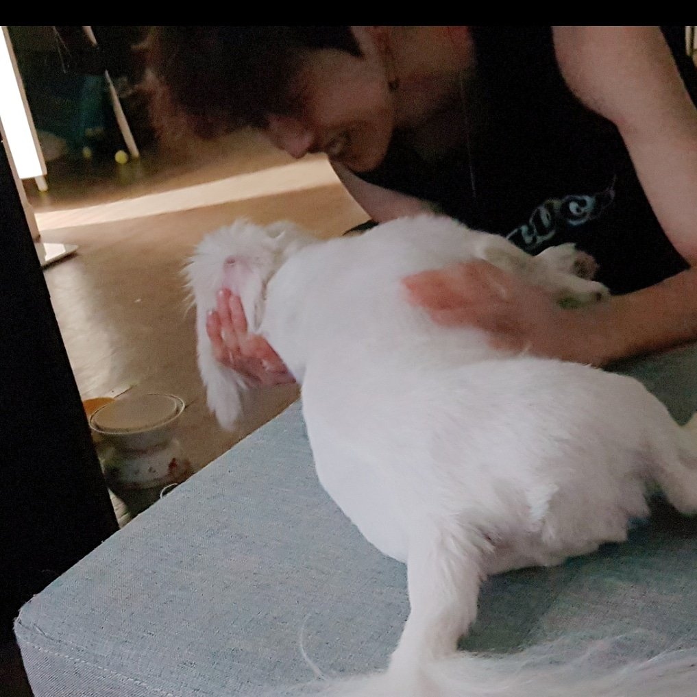Protect_MONT's tweet photo. [Atualização do #MONT | 17.10.18] 

"💘
#뿌로다 #PuRoda 
#뿌딩 #Puding #뿌스타 #Pustagram #신뿌딩 #ShinPuding"

#몬트 #MONT https://t.co/6Dco7Hl0q7
