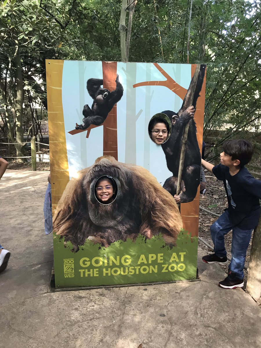 MrsLopez4th's tweet photo. More Zoo fun pictures! https://t.co/6Z1NkwnSE8