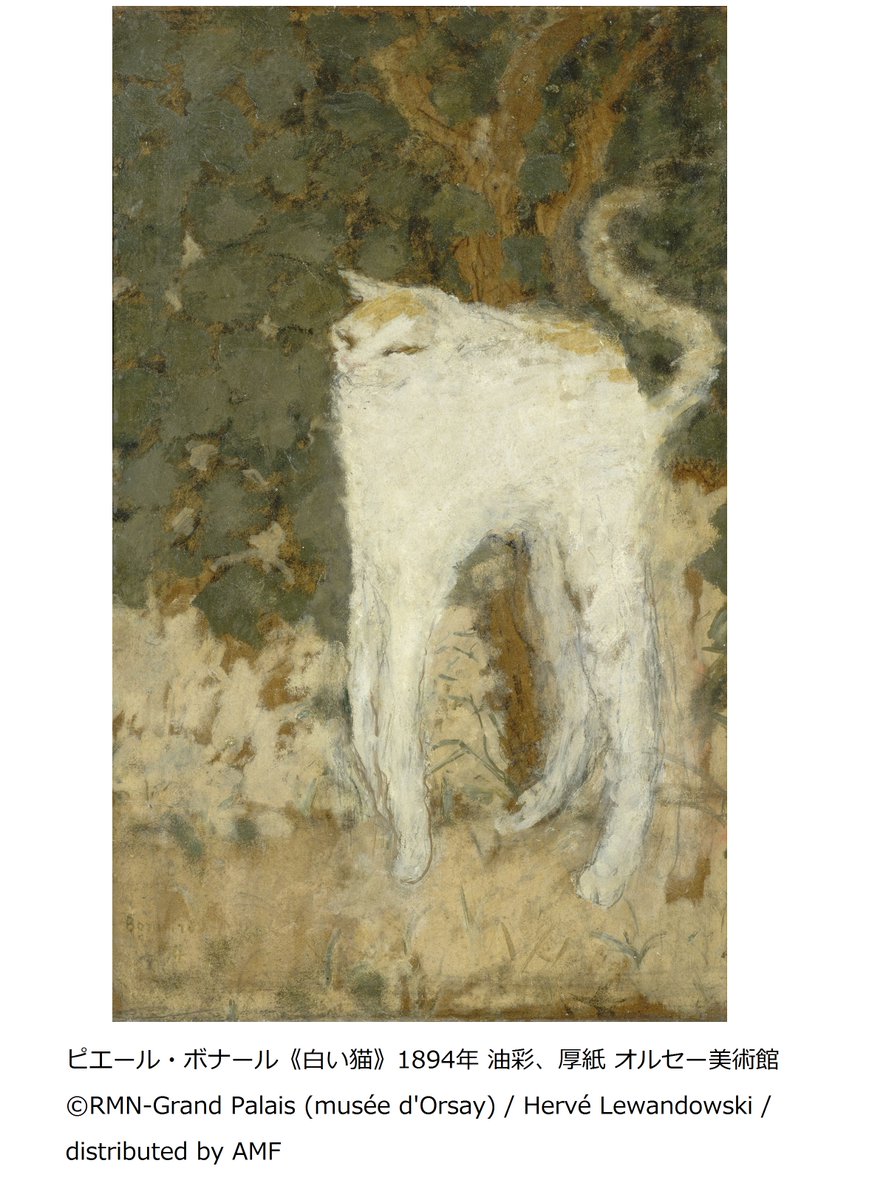 【アート】　Ａ４サイズ　かわいい猫の絵　白猫さん「オーバーライド」