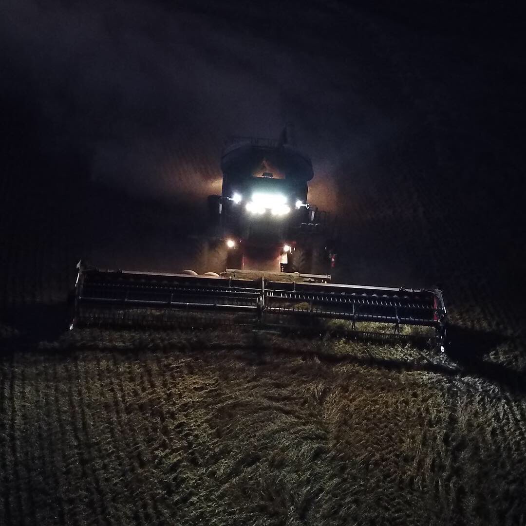 tsnagy's tweet image. Harvest pics.  Finally got the drone out on the last few days of harvest. @BraydenNagy #caseih #macdon #seedmaster #unverferth