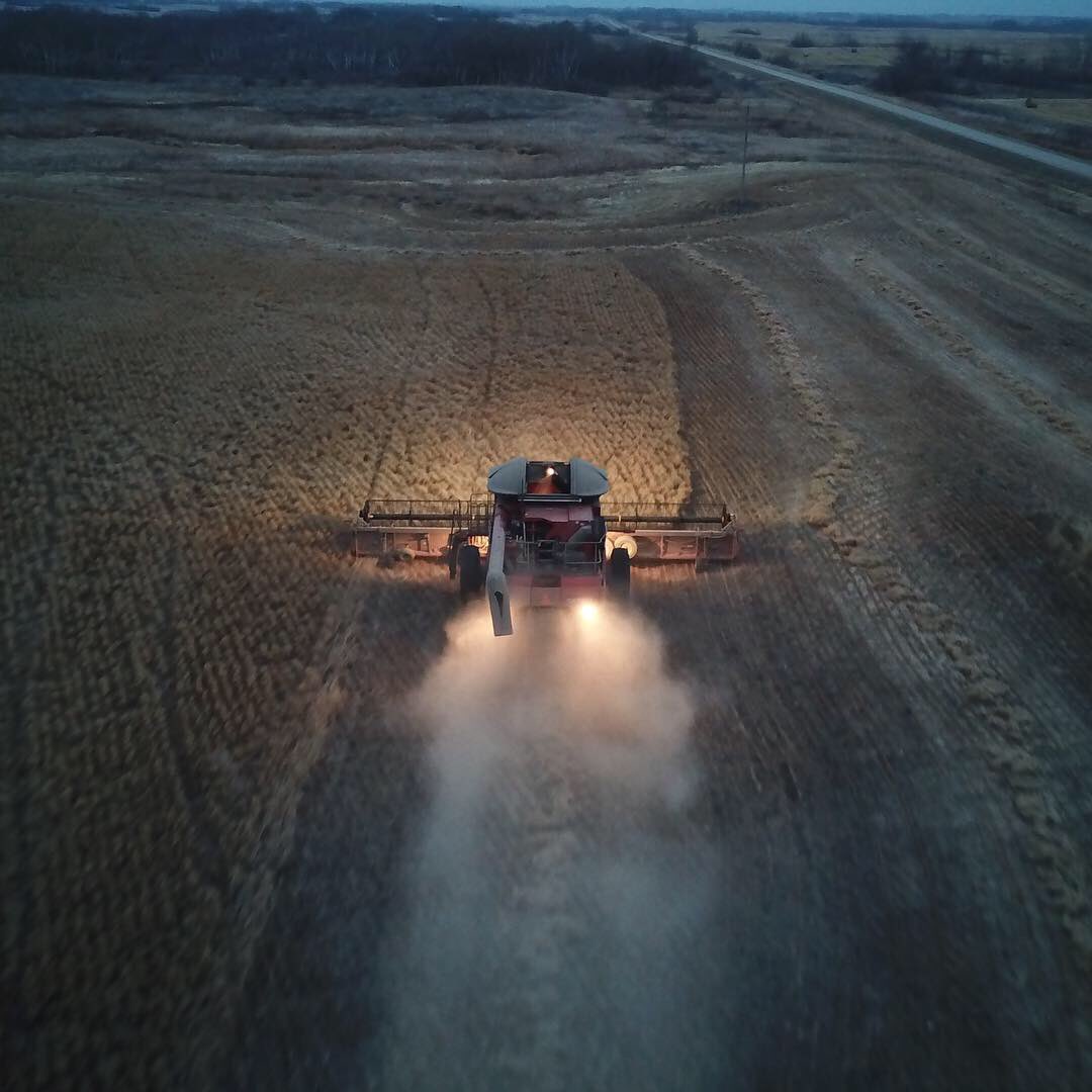 tsnagy's tweet image. Harvest pics.  Finally got the drone out on the last few days of harvest. @BraydenNagy #caseih #macdon #seedmaster #unverferth