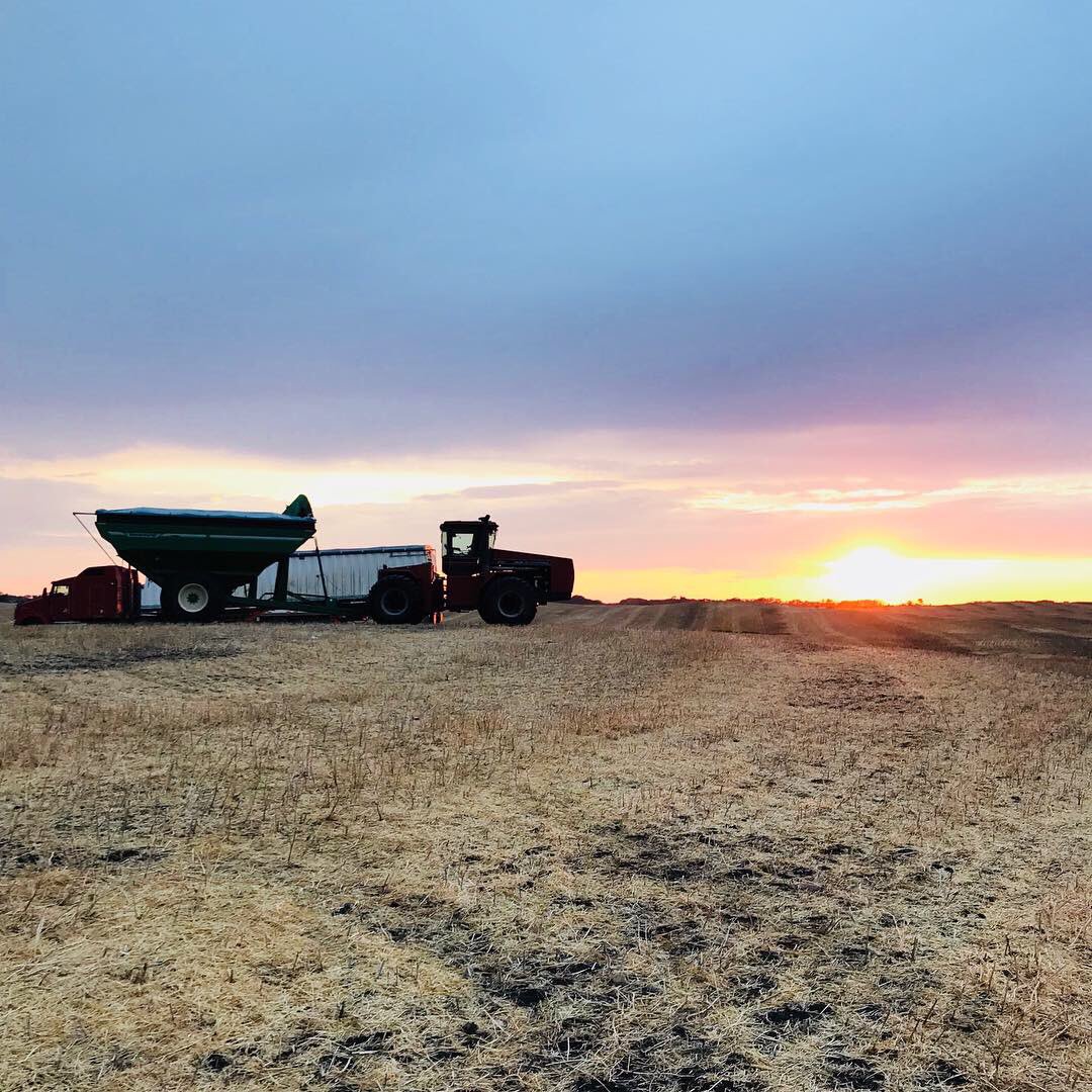 tsnagy's tweet image. Harvest pics.  Finally got the drone out on the last few days of harvest. @BraydenNagy #caseih #macdon #seedmaster #unverferth