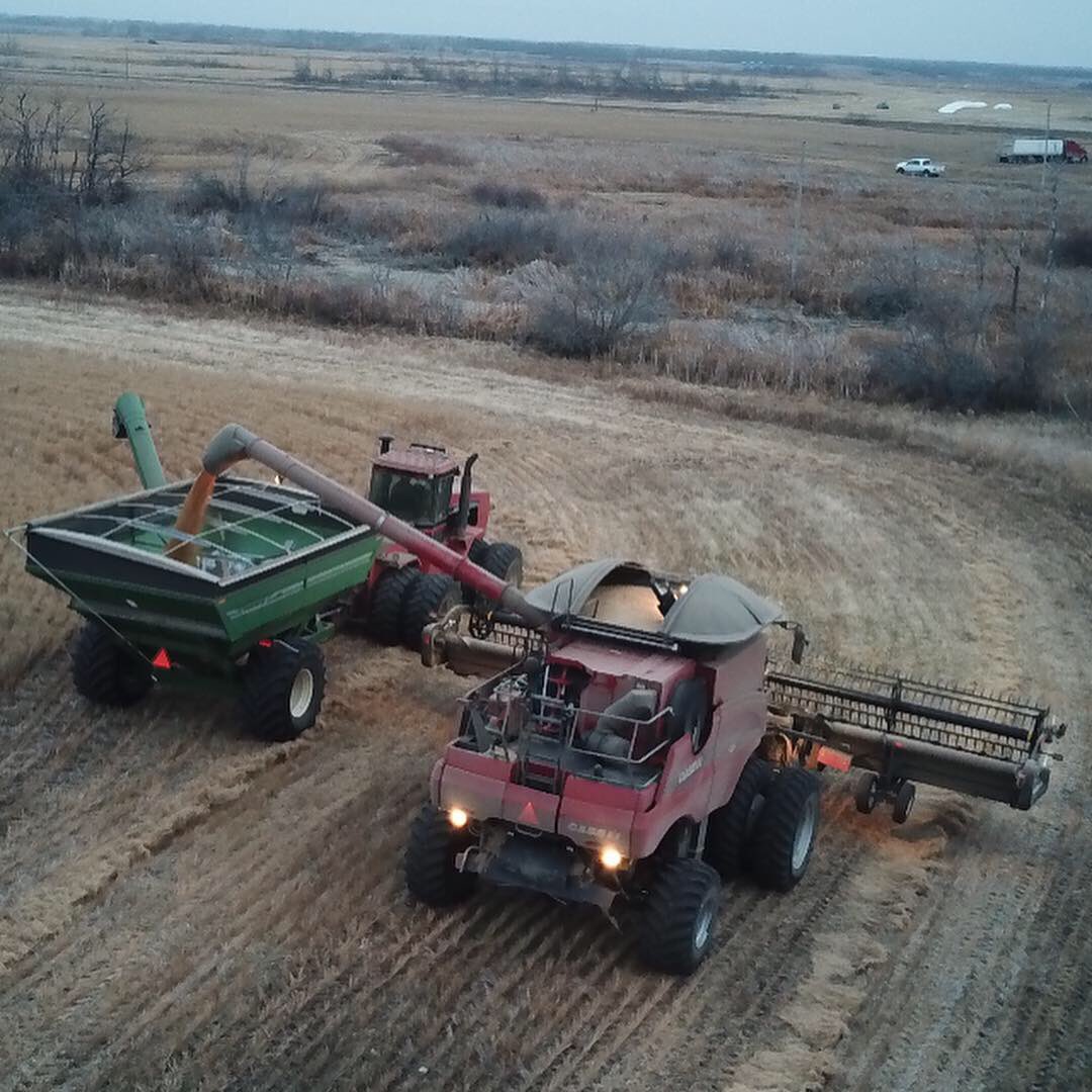 tsnagy's tweet image. Harvest pics.  Finally got the drone out on the last few days of harvest. @BraydenNagy #caseih #macdon #seedmaster #unverferth