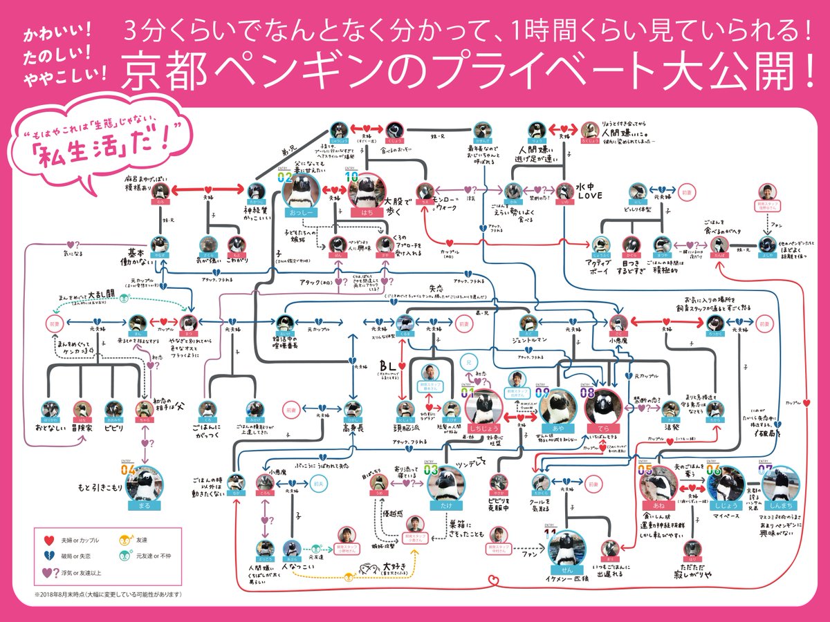 三角関係どころかblまである 京都水族館のペンギン同士の相関図を作ったら想像以上にカオスだった Togetter