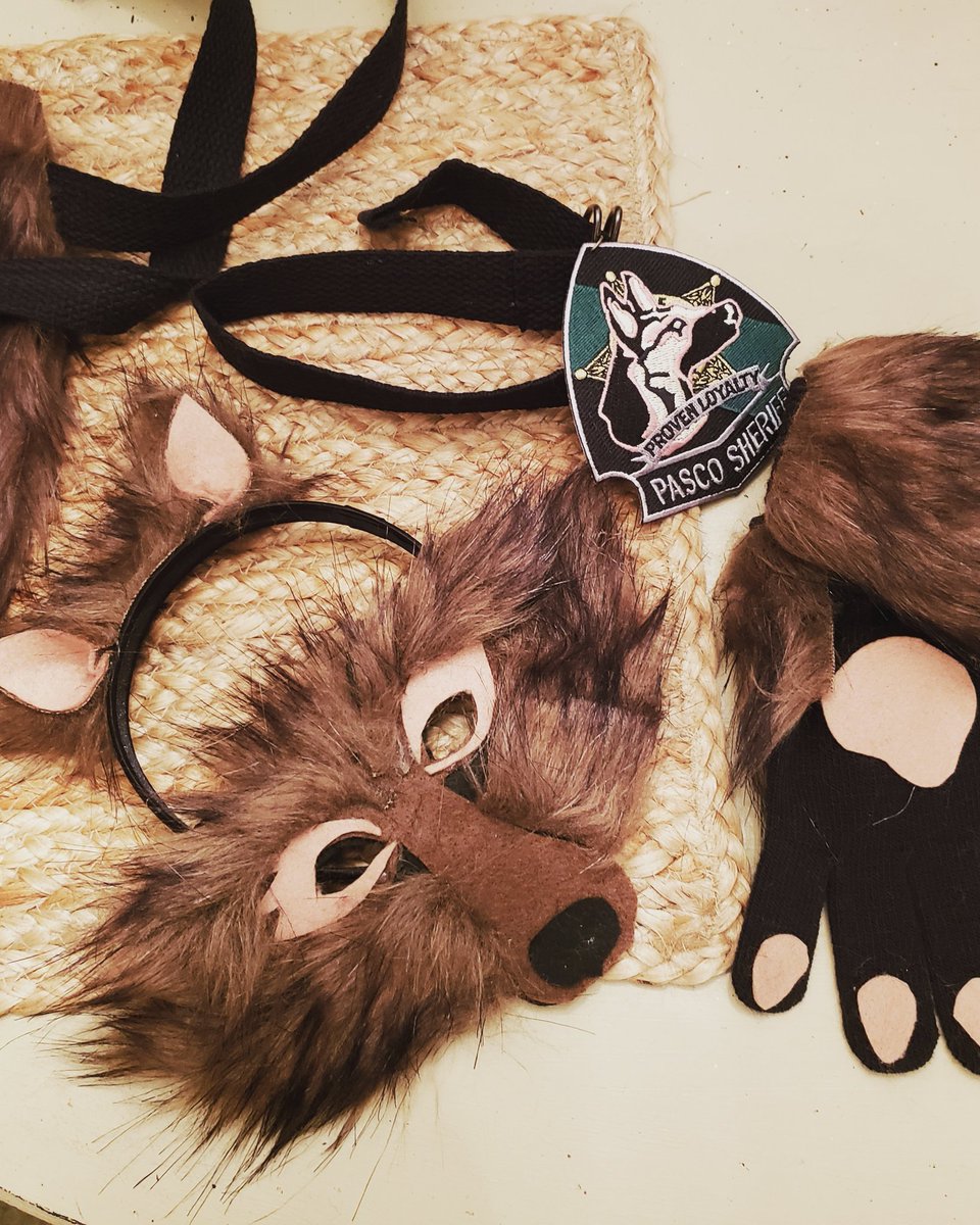 barmes_est06's tweet photo. #ShepHappens is ready for Trick or Treating! @PascoSheriff @OfficialLivePD @LivePDNation #askcarmack #K9OfTheDay #k9shep #9PMRoutine #Halloween https://t.co/SVRiWhntpW