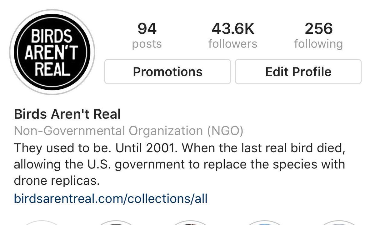 fastest growing movement in the country https instagram com birdsarentreal utm source ig profile share igshid yyadgm249pw6 pic twitter com 7fbpdpks9t - followers by country instagram