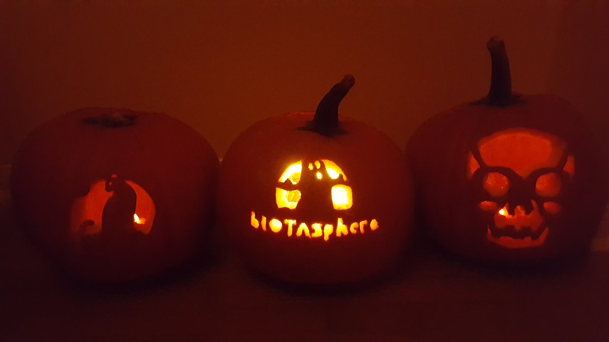 Blockchain is scary, but #IOTA is a bright light.

Happy Halloween from #bIOTAsphere!

#IOTAStrong #HappyHalloween