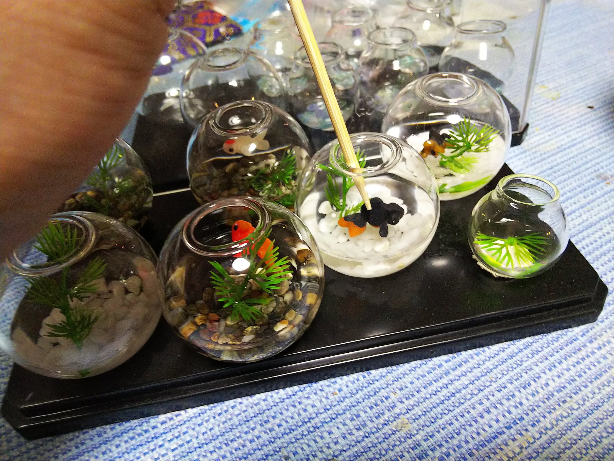 みかげ 次はデザフェス5 21 22両日 金魚鉢内レイアウト調整中 これからシリコーン流します 多分デザフェスには間に合うかな デザフェス48 いきもにあ18 T Co Rpjpsjoeq4 Twitter