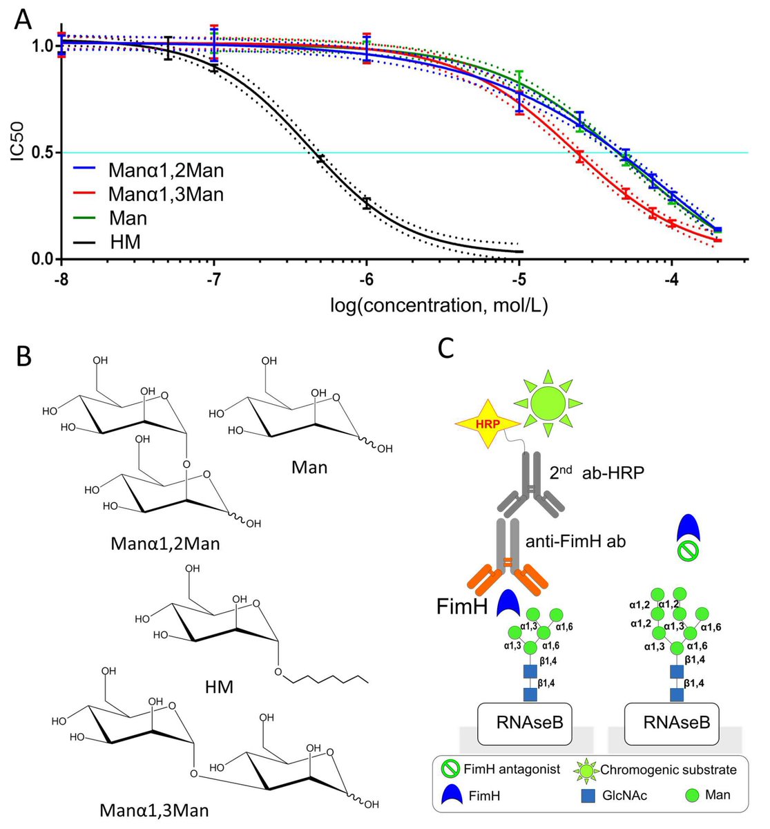 Molecules_MDPI's tweet image. #mdpimolecules A Novel Integrated Way for Deciphering the #Glycan Code for the FimH #Lectin mdpi.com/357646