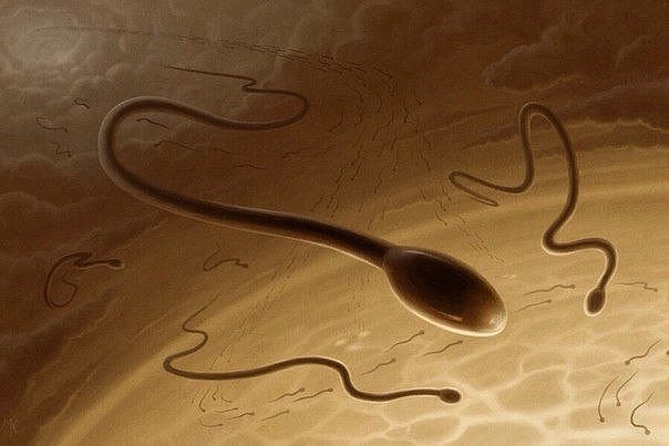 Шанс вашего рождения составляет 1 к 400 000 000 000 000 000 Ваше существование — следствие удивительного, невероятного совпадения, вероятность которого так ничтожно мала, что вашу жизнь иначе, как чудом, не назовёшь.