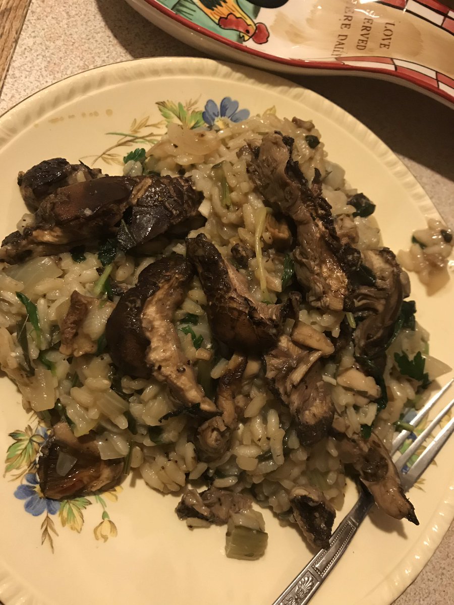 Beautiful parasol mushrooms fresh from woodland 💕🍁🐶🍂🐿wild mushroom risotto❤️vegan food 💝🌳❤️