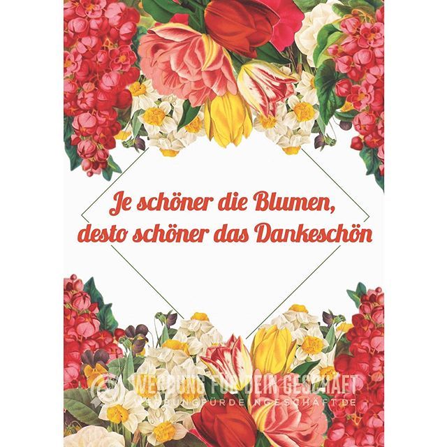Wfdg Werbung Fur Dein Geschaft Auf Twitter Je Schoner Die Blumen Desto Schoner Das Dankeschon Ja Auch Im Winter Kann Man Mal Blumen Schenken Uber Blumen Freut Man Sich Doch