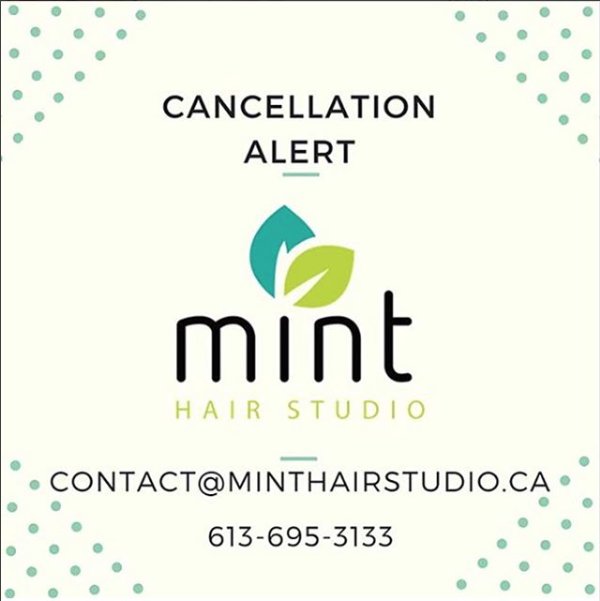 We have some last minute availability this afternoon! Call (613) 695-3133 or email contact@minthairstudio.ca to book an appointment! 🍃💇‍♀️
.
. 
.
#lifewithmint #wellywest #minthairstudio #hintonburg #ottawa #myottawa #cancellationalert #hair #appointment #treatyoself