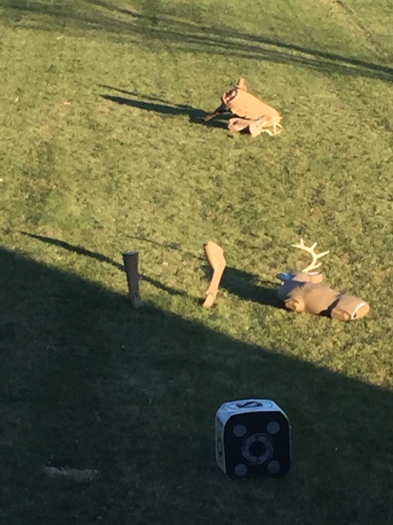 tmparizek's tweet photo. Evidently this guy thought he was a badass and too offense to my backyard bucks!   #bbd #targetpanic #littlemandisease https://t.co/vPnmCi6Jk3