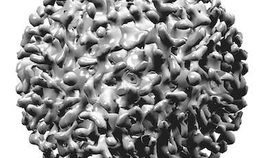 LetsFaceItCare's tweet image. &quot;New #Research Aims to Help Improve Uptake of #HepatitisCTesting&quot;
Read it here: letsfaceit.care