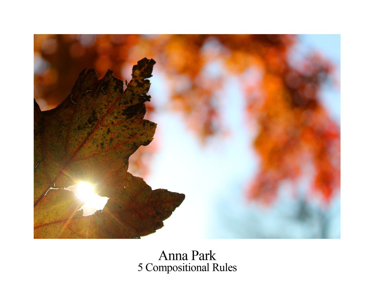 Congrats Anna Park from Photo 1!  Of the almost 1000 photos submitted for grading this quarter, this one is my favorite!! <a href="/CresskillMSHS/">Cresskill MS/HS</a>