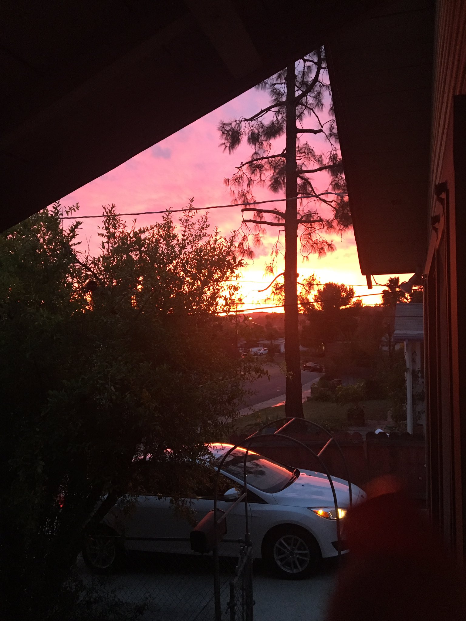 RedState_RedNeck on Twitter "Fires getting closer, this is the 