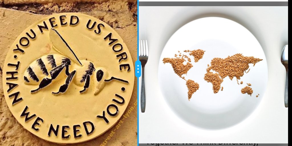 Felixthephdcat's tweet photo. "Can we fight World hunger whilst preserving the nature that we do very much depend on?" 

@theAliceRoberts closes her fascinating talk with a deep question for the #RoyalSocBio attendees! 

#BiosciencesForAll #Symposium @RoyalSocBio @UniBirmingham https://t.co/THVE1VjeaR
