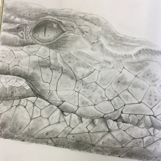 Fantastic tonal drawing by Rufus M in Year 9 #tonaldrawing #KS3ART #Year9art #proud