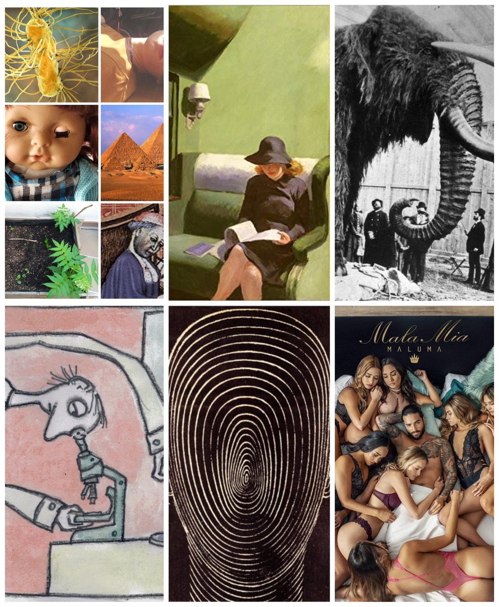 Me decían el otro día que no sabían cómo localizar algunos de mis #HILOS de #FICCIÓN, así que he decidido recopilarlos AQUÍ: