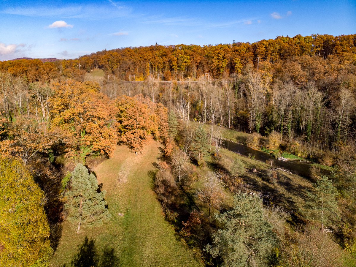 Herbst in der Schweiz | Fall in Switzerland
#drone #dronephotography #droneshot #drones #dronepics #swissdrone #switzerland #nature #fall #aerialphotography #herbst #dji #djimavicair #djiphoto #djiphotography #djiglobal #color #colors #colorful #farben #drohnenfotografie #schweiz