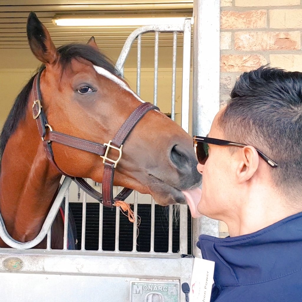 racingblogger's tweet photo. Omg Barney Roy just full on 💋 me 

#Legend #GroupOneWinner 🏇 https://t.co/Pv8PLuRfXz