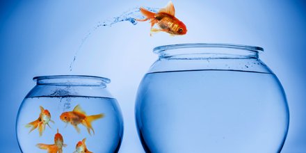 In 4 stappen #beteresales realiseren ow.ly/VdLe30myvAU