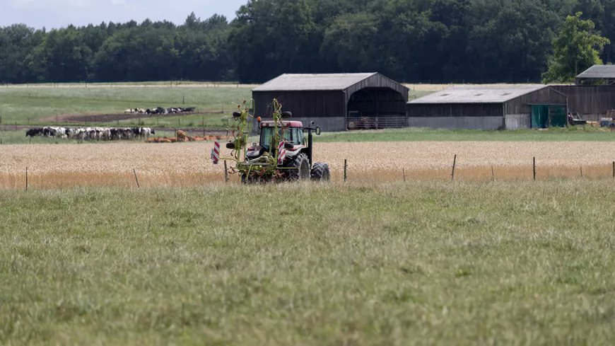 ici_auxerre's tweet photo. Un agriculteur de l'Yonne raconte comment il a évité le suicide 

→https://t.co/v3P9uYI109 #yonne #agriculture https://t.co/JVgCOCGZ5k