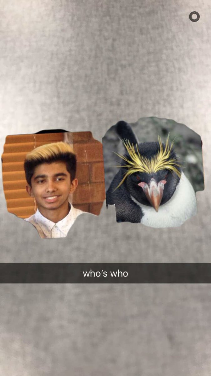 BenchMob6's tweet photo. Jaylen “vector” patel @jayylennnnn

Weight: he needs a belt to hold up his basketball shorts...
Height:  5’ doesn’t matter he’s coming off the bench 
Threw himself a surprise birthday party 
10th man on a team of 8 
0% chance he goes the whole season without getting knocked over. https://t.co/2lnjz0iGEk