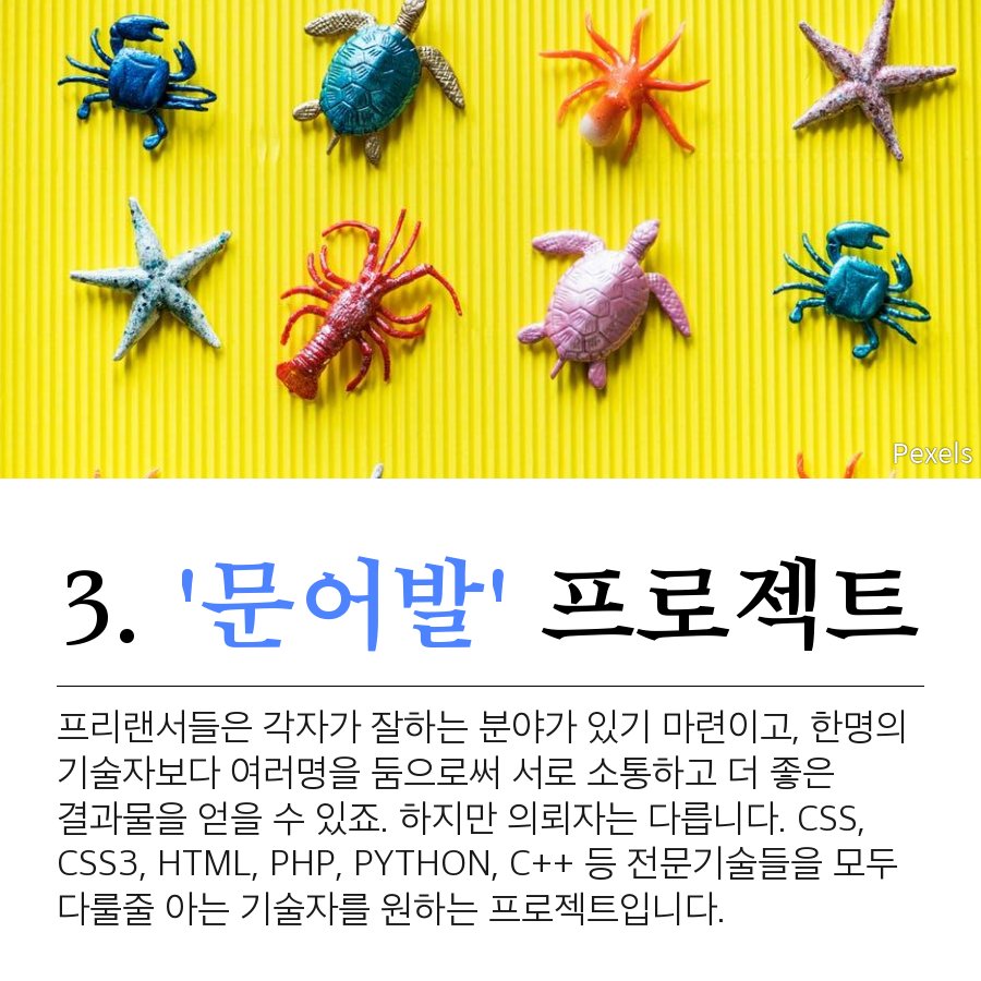 # 프리랜서로써 직면하게 될 6가지 프로젝트 종류

외주형태가 대부분 프로젝트인데, 모든 프로젝트는 같다 아니다? 6가지의 보편적인 프로젝트를 살펴보자.

팔레트101에서 각 '분야별' 프리랜서 모집 합니다.
recruitpalette.com

#프리랜서 #프로젝트 #팔레트101 #FREELANCER #외주 #아웃소싱
