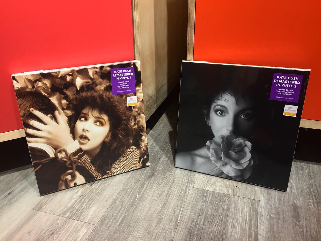 TowerDublin's tweet photo. We Can't wait for these!!
Kate Bush Remastered boxsets and catalogue finally reissued this Friday 16.11.18 through @warnermusicireland.
What's your favourite Kate Bush album?
#houndsoflove #lionheart #neverforever #dreaming #sensualworld #redshoes #kickinside #remasterd https://t.co/k8DYbgbCMp