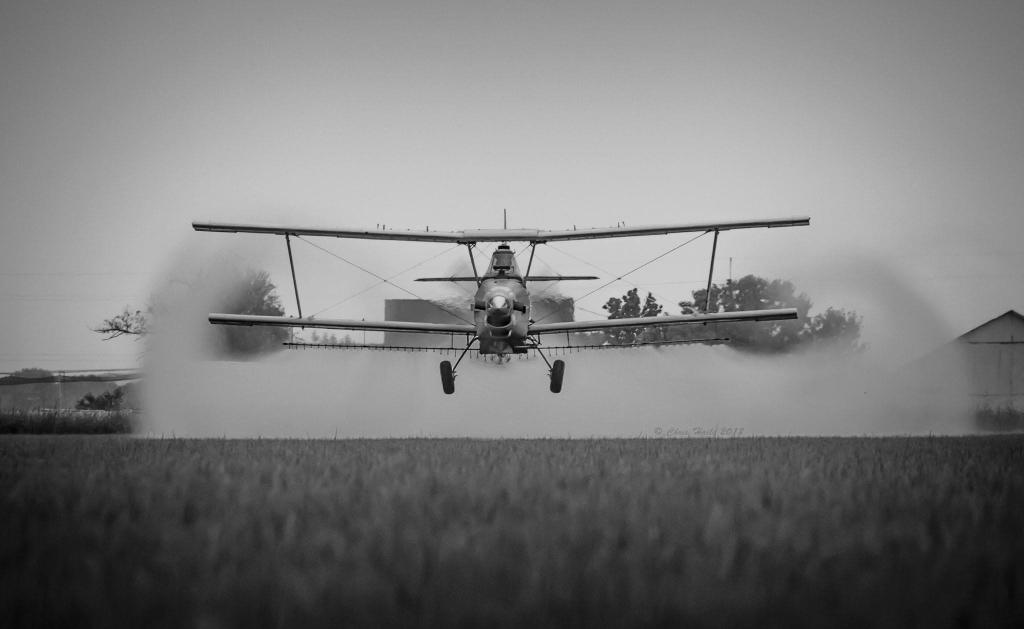 Chris Haile (@chaile2111) on Twitter photo Fungicide application on rice, Sacramento Valley
<a href="/AgAviationNAAA/">NAAA</a>
<a href="/agairupdate/">AgAir Update</a>
<a href="/CovingtonAir/">Covington Aircraft</a>
<a href="/prattandwhitney/">Pratt & Whitney</a> Fungicide application on rice, Sacramento Valley
<a href="/AgAviationNAAA/">NAAA</a>
<a href="/agairupdate/">AgAir Update</a>
<a href="/CovingtonAir/">Covington Aircraft</a>
<a href="/prattandwhitney/">Pratt & Whitney</a>