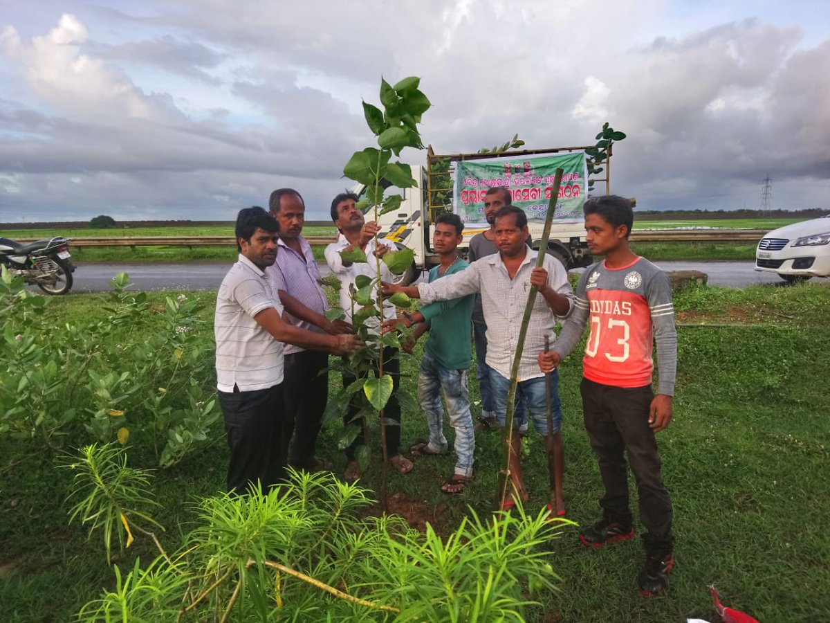 Bamadevsahoo10's tweet photo. Foresting At NH 5 ( A) https://t.co/vIhJUhGh60