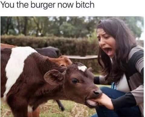 Dr-b-9mWkAAJ8gT.jpg:large