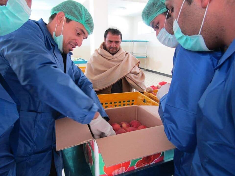 Paktia PGO Press-د پکتیا ولایت مقام رسنیز دفتر tweet media